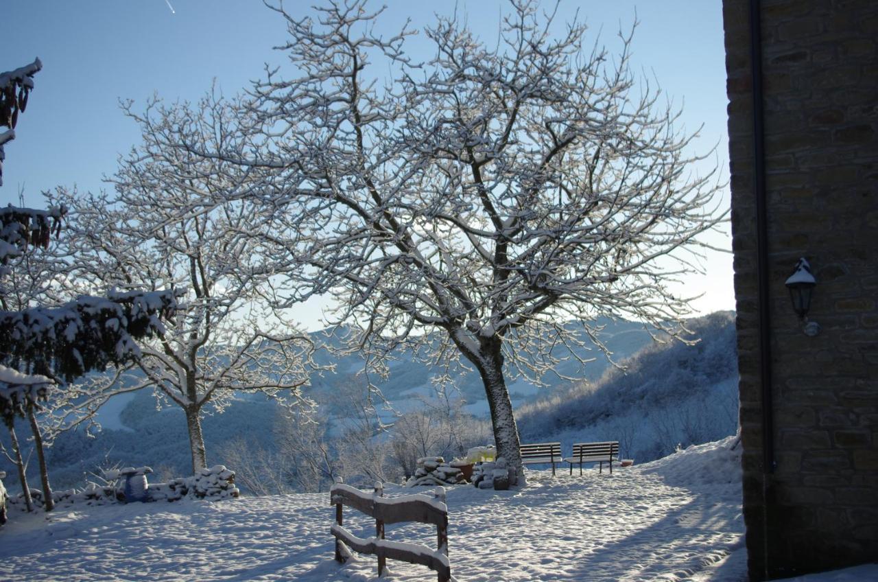 Bed and Breakfast Vinco Castel del Rio Экстерьер фото