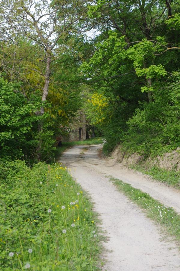 Bed and Breakfast Vinco Castel del Rio Экстерьер фото